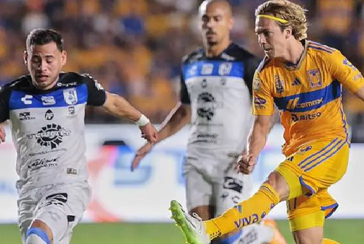 Tigres parte como el favorito 