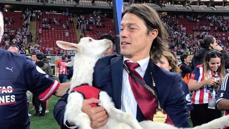Matías Almeyda (Foto: Mexsport)