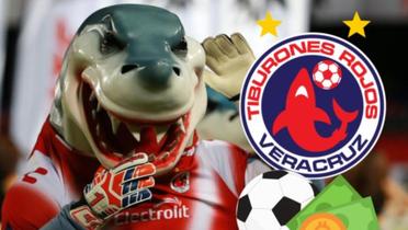 El Tibu podría regresar al fútbol, deben poner el dinero para pagar la franquicia (Fuente: Imagen de Veracruz)
