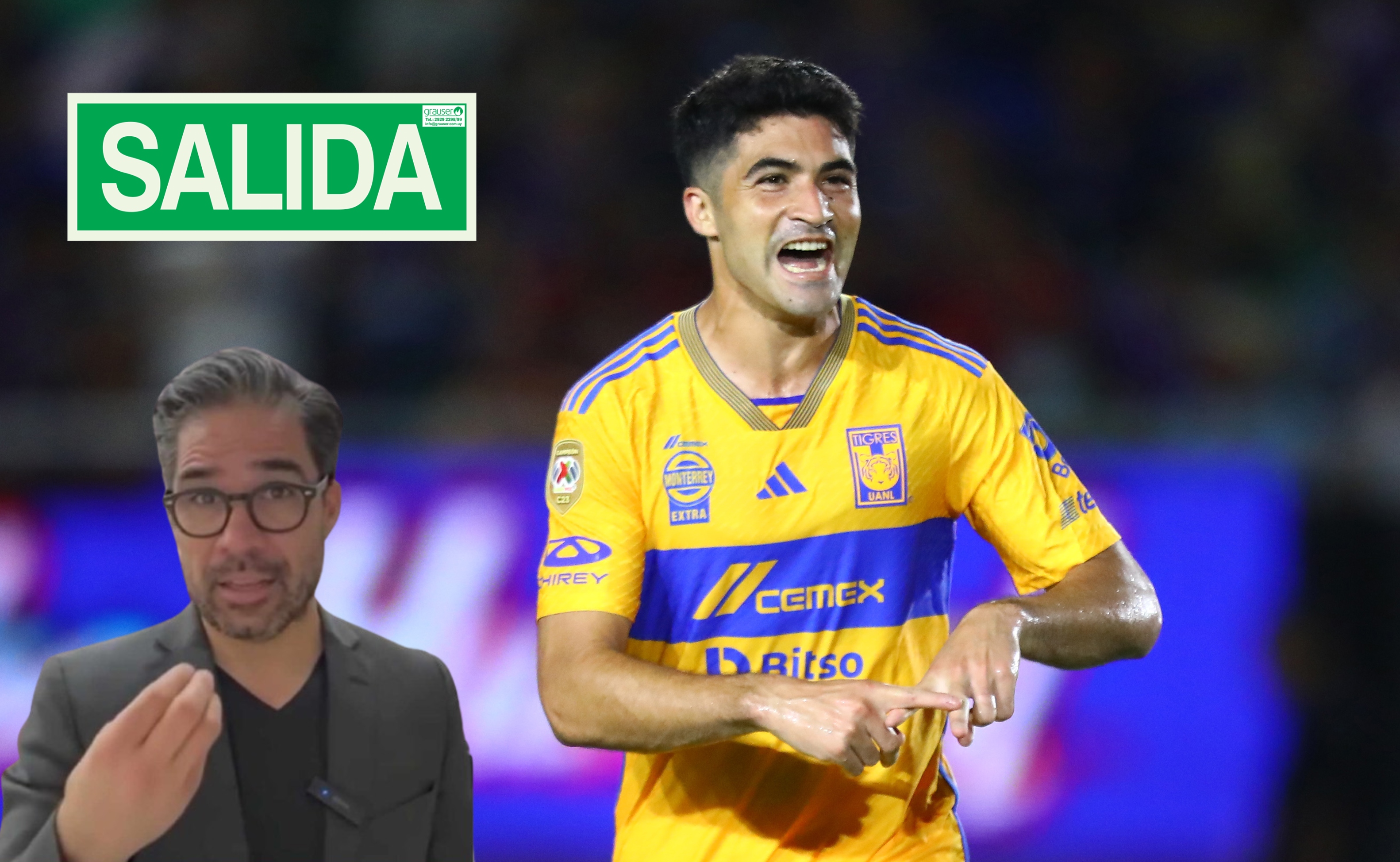 Nicolás Ibáñez es uno de los mejor delanteros de la Liga MX y buscaría tener más minutos.